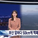 부산 앞바다 50km에 핵폐기장 들어서나? 이미지