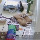 함께냥 앤 함께냥품 북수원점 이미지