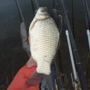 웅천 소류지 이미지