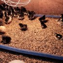 청계슈퍼 이미지