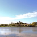 호숫가의 풍경 이미지