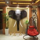 강남-148 이미지