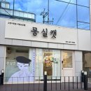 몽실캣 | 안양 고양이전문 몽실캣 무마취 미용 후기