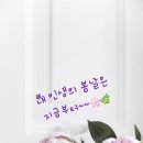 내인생의봄날