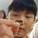 21차 에덴양봉원 우수 후기 당첨자 발표