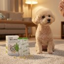 코스맥스펫 주식회사 | 강아지 오메가3 피부 관절 심장 비건 영양제 추천 리브펫 장단점 후기 및 20%할인 구매 방법