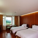 스테이 드래곤 이미지