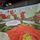 (주)상상디지탈 이미지