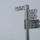삼가-13 이미지