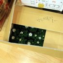 노벨생태어린이집 이미지