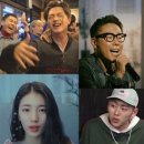 딩고 이미지