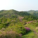 명문행정사 사무소 네이버블로그