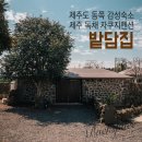 밭담집 | 제주도 동쪽 감성숙소 추천 밭담집 오래 머물고싶은 제주 독채 자쿠지 펜션