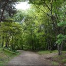 구슬치기 이미지