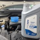 오토오아시스 롯데마트사상점 이미지