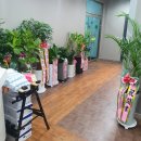 당감스크린골프연습장 이미지