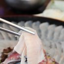 주문진항유리횟집 이미지