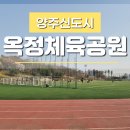 옥정체육공원 축구장 이미지