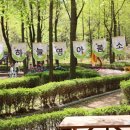 새하늘어린이집 이미지