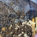 소망2농장 이미지