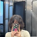 로이드밤(무실롯시점) 네이버블로그
