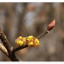 골안 약수터 이미지