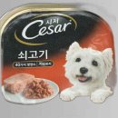 시저 쇼핑하우