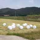 수장농장 이미지