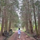 스테이에르바 이미지