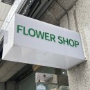 로리네 | 의정부 꽃집 추천 &lt;로리플레르&gt; 내돈내산 솔직후기