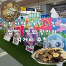 스팟캐치