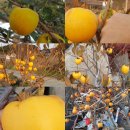 종은농장 이미지