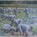 구공설운동장 이미지