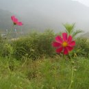 하늘내린황토민박 이미지