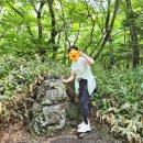 어쩌다제주 | 2024년 여름제주 한라산 성판악코스 정상등반후기 (어쩌다보니 정상..ㅎ)