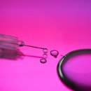 코리아모텔 이미지