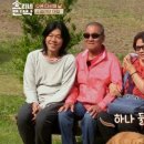 효리네 민박 이미지