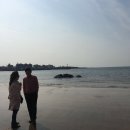 3월의 제주 - 테우해변, 방주교회, 오설록 그리고 카페 '바다다' 이미지