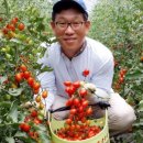 외갓집마당 영농조합법인 이미지