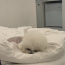 마이온홈대정 이미지