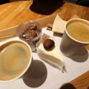 용암농장 | 별내 대형카페 하우스 용암 애견동반 카페 별관 심야 운영