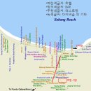 비너스나이트클럽 이미지