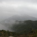 미루상회 이미지