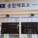 용평워터파크 찜질방 이미지