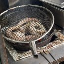 화산곰장어 이미지