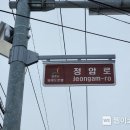 정암로 이미지