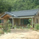 금수목장 이미지