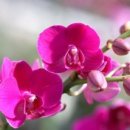 좋은인연 이미지