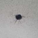 용원전기 네이버블로그