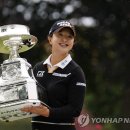 뉴타운골프클럽 이미지